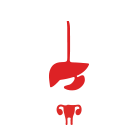 Ȼǻƻ